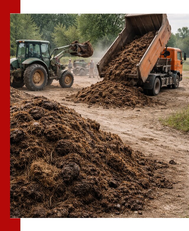 Доставка навоза самосвалами в Искитиме для сельхозпотребностей